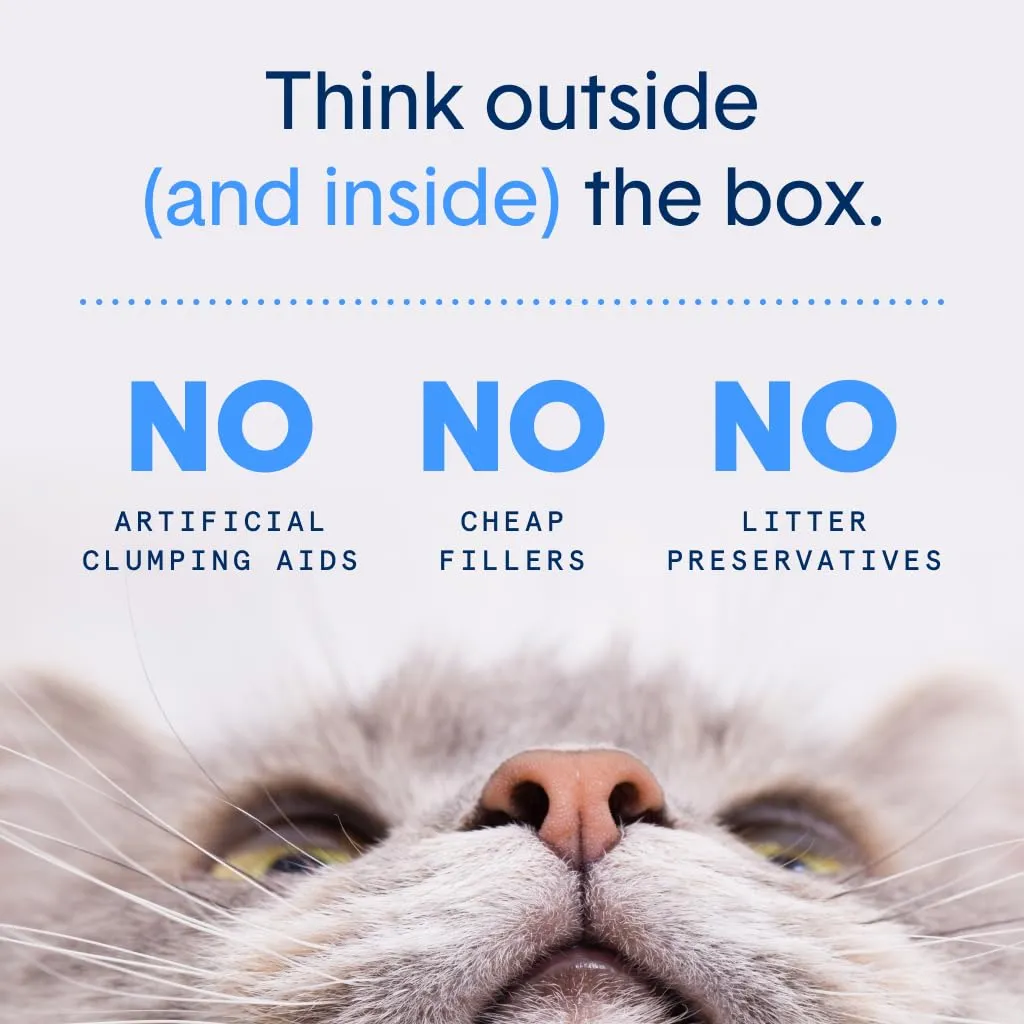 Boxiecat Glo Natural Attractions Dust-Free Odor Control Scented Non-Clumping Crystal Cat Litter - 6 Lbs
