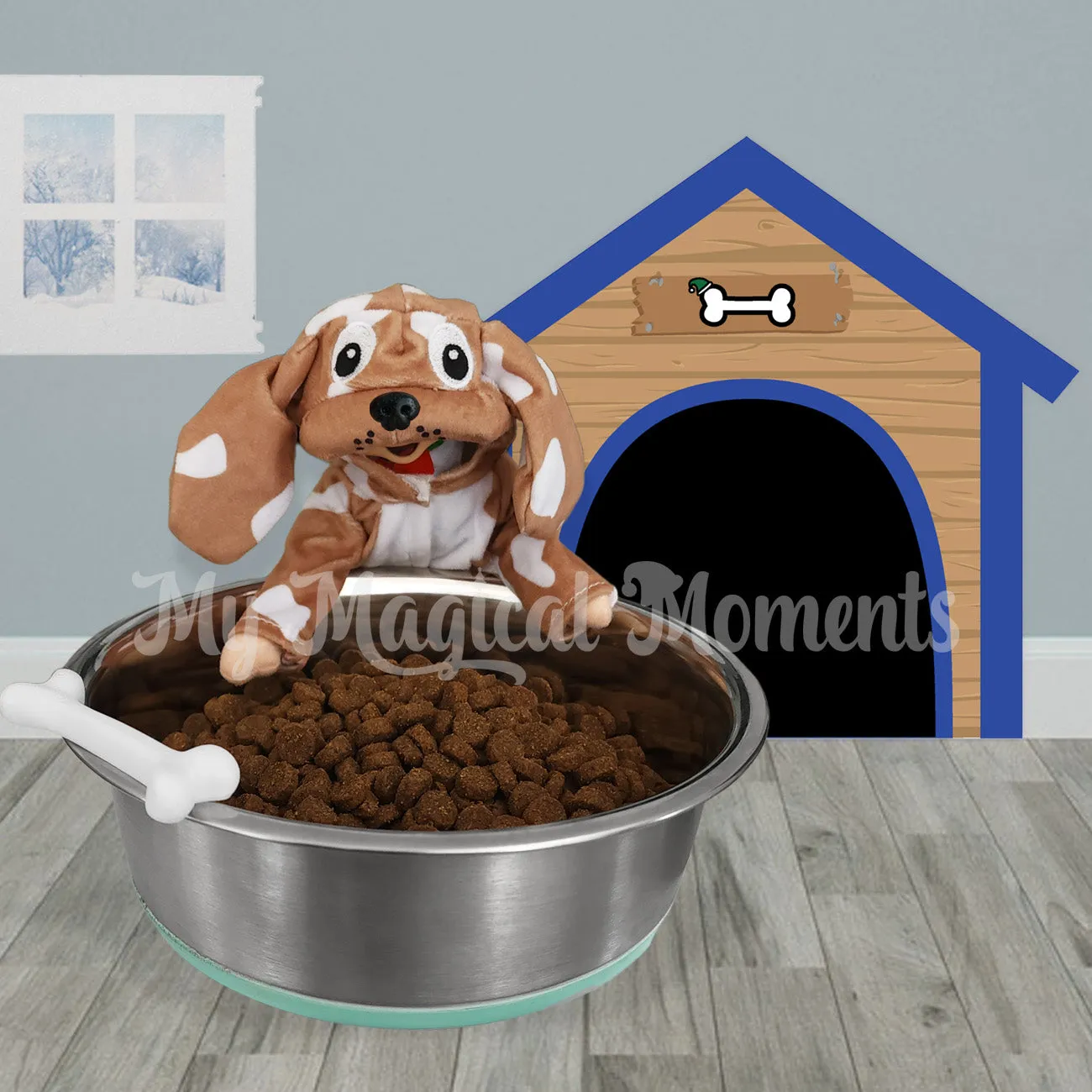 Dog House
