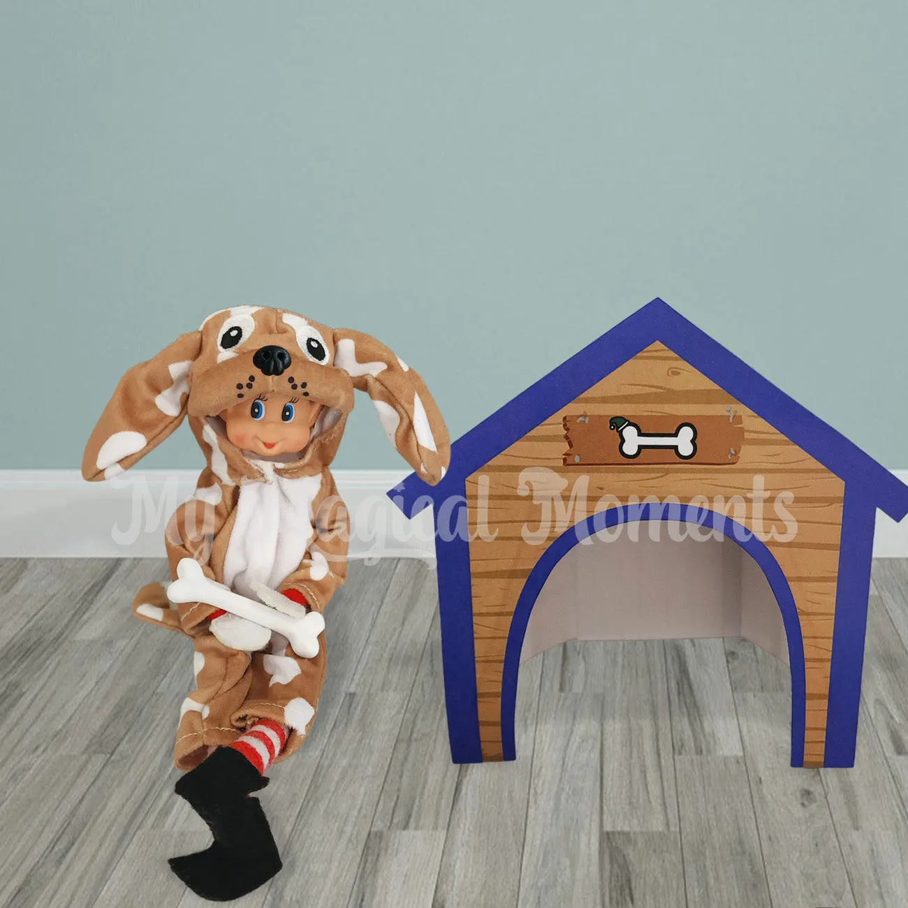 Dog House