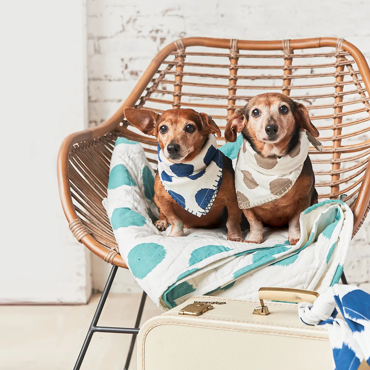 Dot Pet Quilt