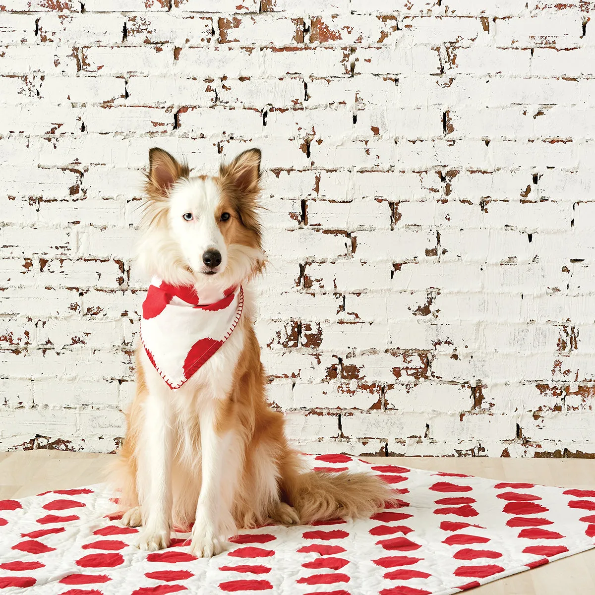 Dot Pet Quilt