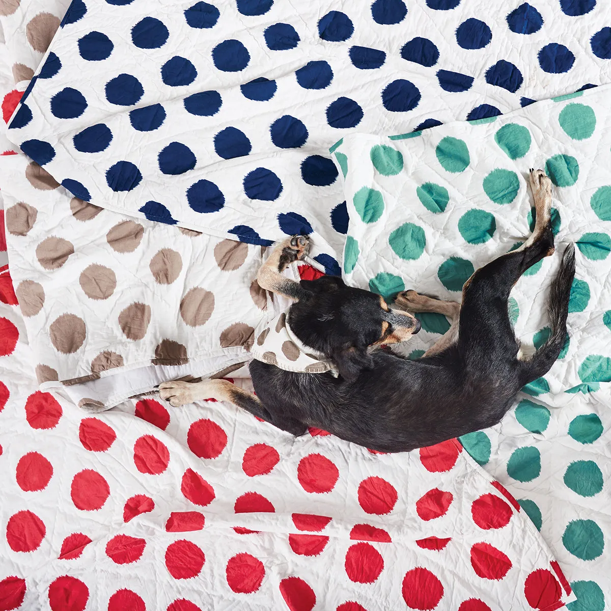 Dot Pet Quilt