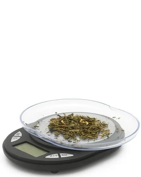 Electronic scale