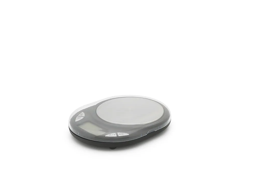 Electronic scale