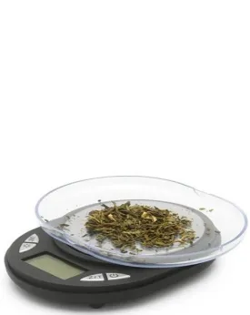 Electronic scale