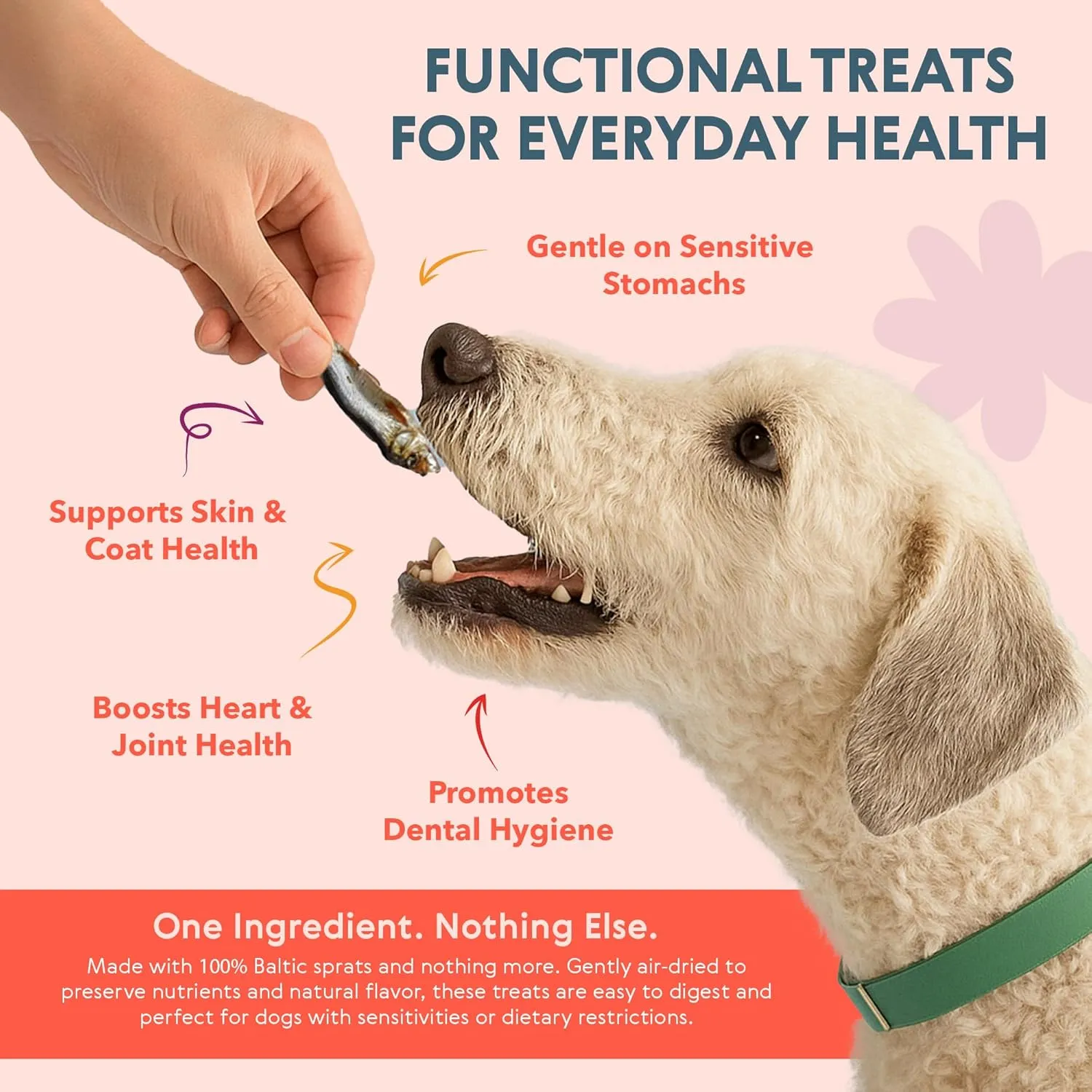 Eli Tiny Sprats  Natural Dog Treats, Whole Small Fish, High in Protein and Omega-3, Grain Free, Single Ingredient, No Additives, Gluten Free, Air Dried, Training Snack or Meal Topper  2 Pack