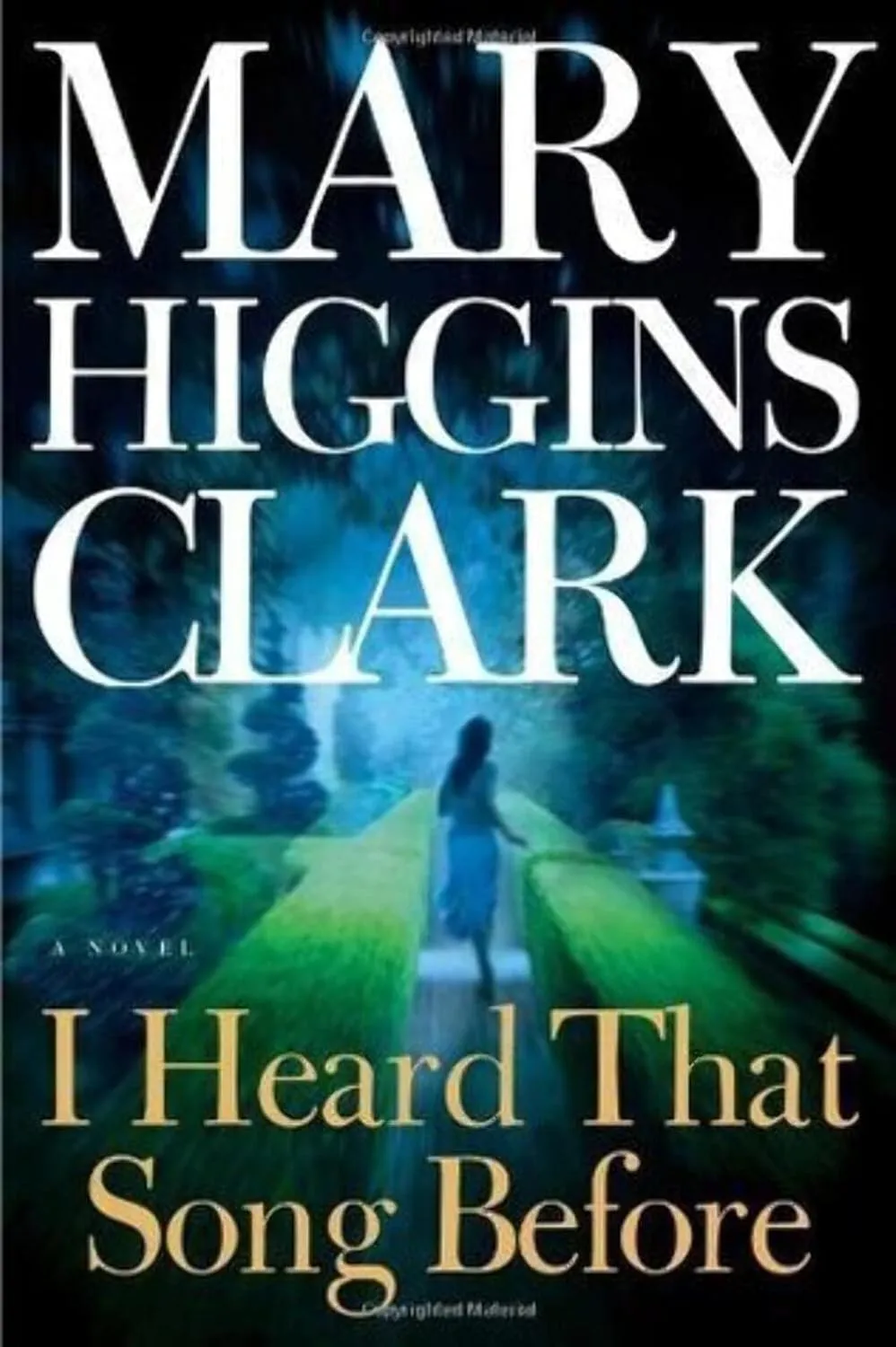 I Heard That Song Before: A Novel Hardcover  April 3, 2007