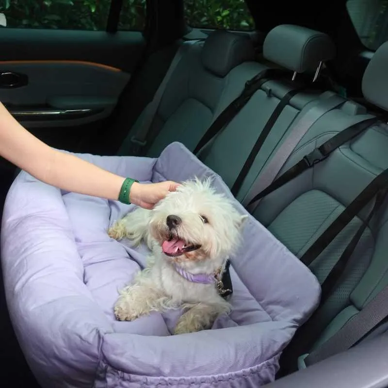 Luxury Large Dog Car Bed
