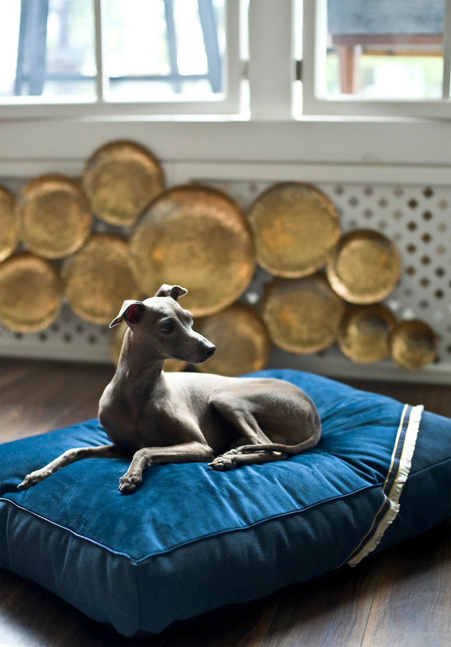 Oh Charlie Square Dog Pillow Allure
