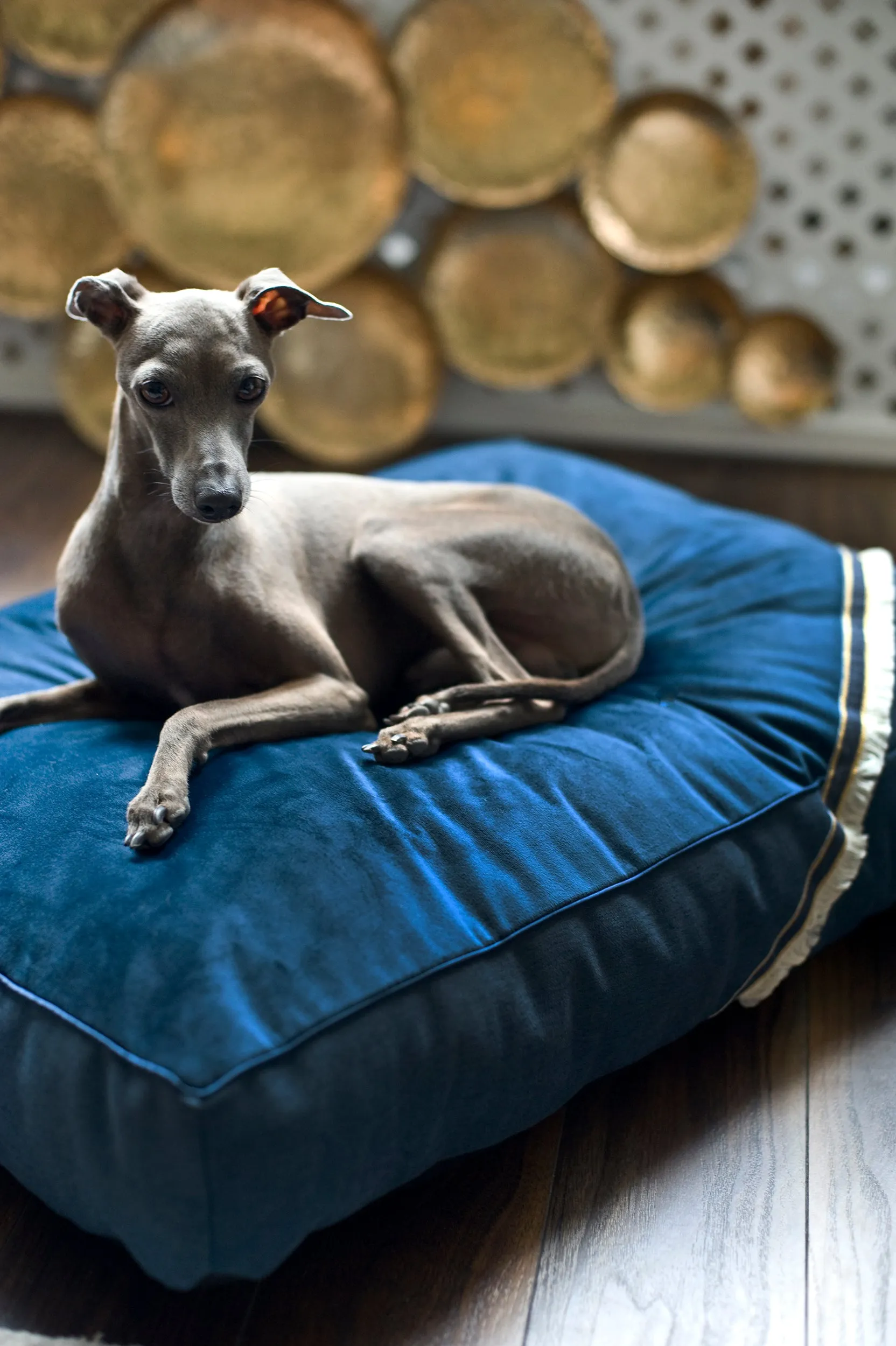Oh Charlie Square Dog Pillow Allure