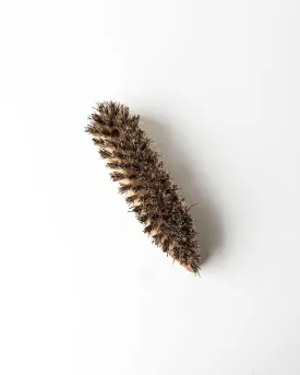 Pointed Scrub Brush