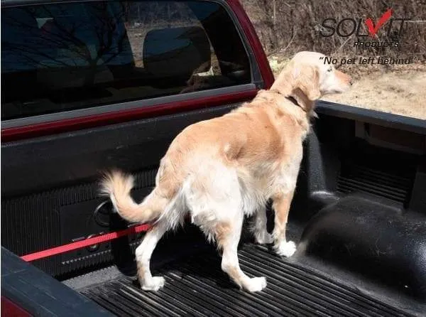 PupZIP&trade; Vehicle Zipline