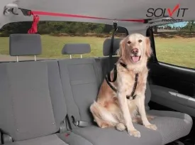 PupZIP&trade; Vehicle Zipline
