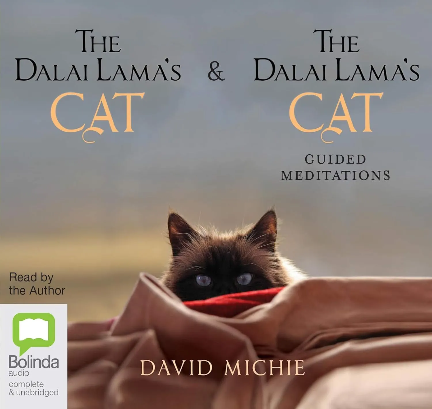 The Dalai Lama's Cat   The Dalai Lama's Cat: Guided Meditations Audio CD  Unabridged, February 1, 2016
